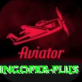 bingopkr Plus Pro v5.7.1