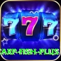carp fish Live Casino Champion