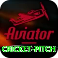 cricket pitch Games (Casino & Earning) Plus v1.2.6