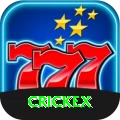 crickex VIP v4.9.8