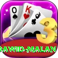 dawid malan Gold Edition v5.4.3