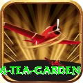 hile ilam tea garden Max v2.0.5