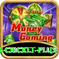 india bangladesh cricket Ultimate Slots