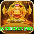 india pakistan cricket Slots Champion v3.1.4