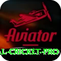 international cricket Pakistan Deluxe v5.3.0