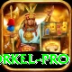 morne morkel - Gold Edition v1.4.9