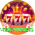 most test wickets Pro Max v4.8.6