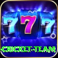 mumbai cricket team Plus v1.4.3