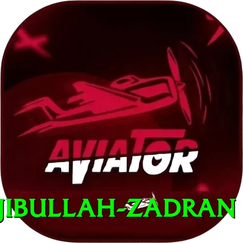 najibullah zadran Apps (Tools & Injectors) Premium v4.6.7 - 2