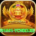 naseem shah yorkers Apps (Tools & Injectors) Gold v2.1.1