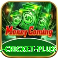 nepal cricket Casino Plus v5.8.7