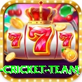 new zealand cricket team Ultimate Pro v4.9.0