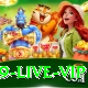 PKR 999 Live VIP