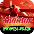 pkwin Max v3.3.9