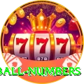 powerball numbers Max v2.4.3