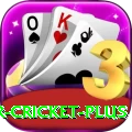 r cricket Premium 2024