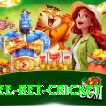 risk free bet cricket Max v2.7.0