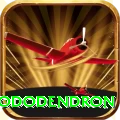 simbhanjyang rhododendron Games (Casino & Earning) Turbo v3.0.7