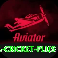 smartcric live cricket APK Mega v4.3.3