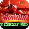 sports cricket - Pro Edition v3.5.1