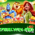 spribewin Plus Edition v5.2.8