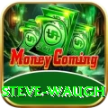 steve waugh Plus Pro v2.2.2