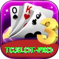 tgslot Master v3.4.0