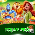 tojay VIP Edition v3.1.0