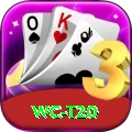 wc t20 Ultimate Pro v3.0.5