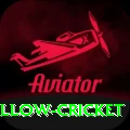 willow cricket Gold Pro v3.3.9