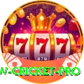 willow cricket Prime v1.9.6