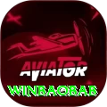 winbaobab Pro