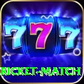 women cricket match VIP Edition v1.1.6